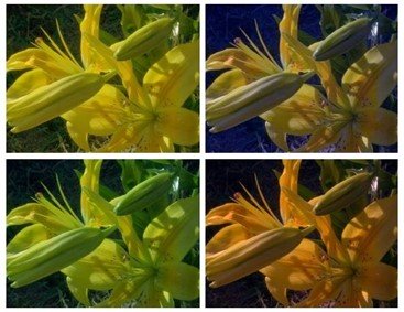 What Is the Influence of Light on Color in the Work of a Color Assessor?