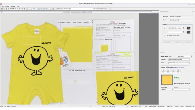 DigiEye software